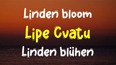 Bijelo Dugme Lipe Cvatu Lyrics .